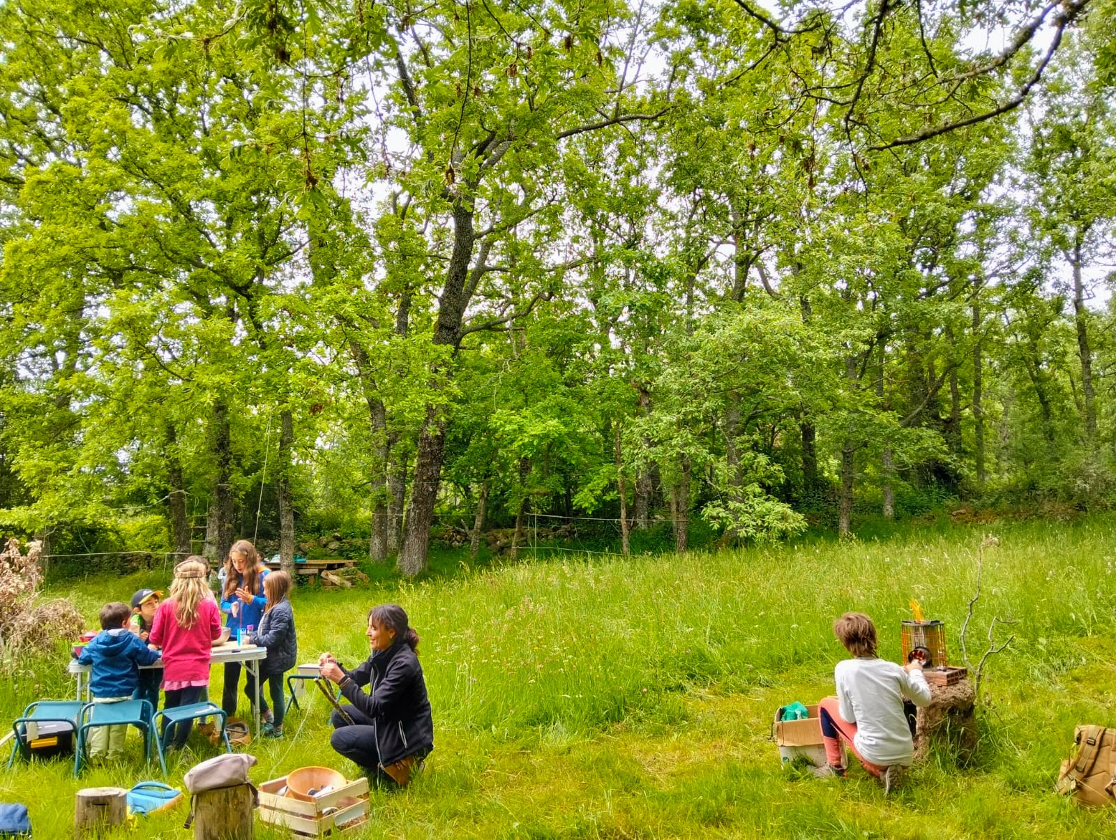 IMG-20250608-WA0022 (1)