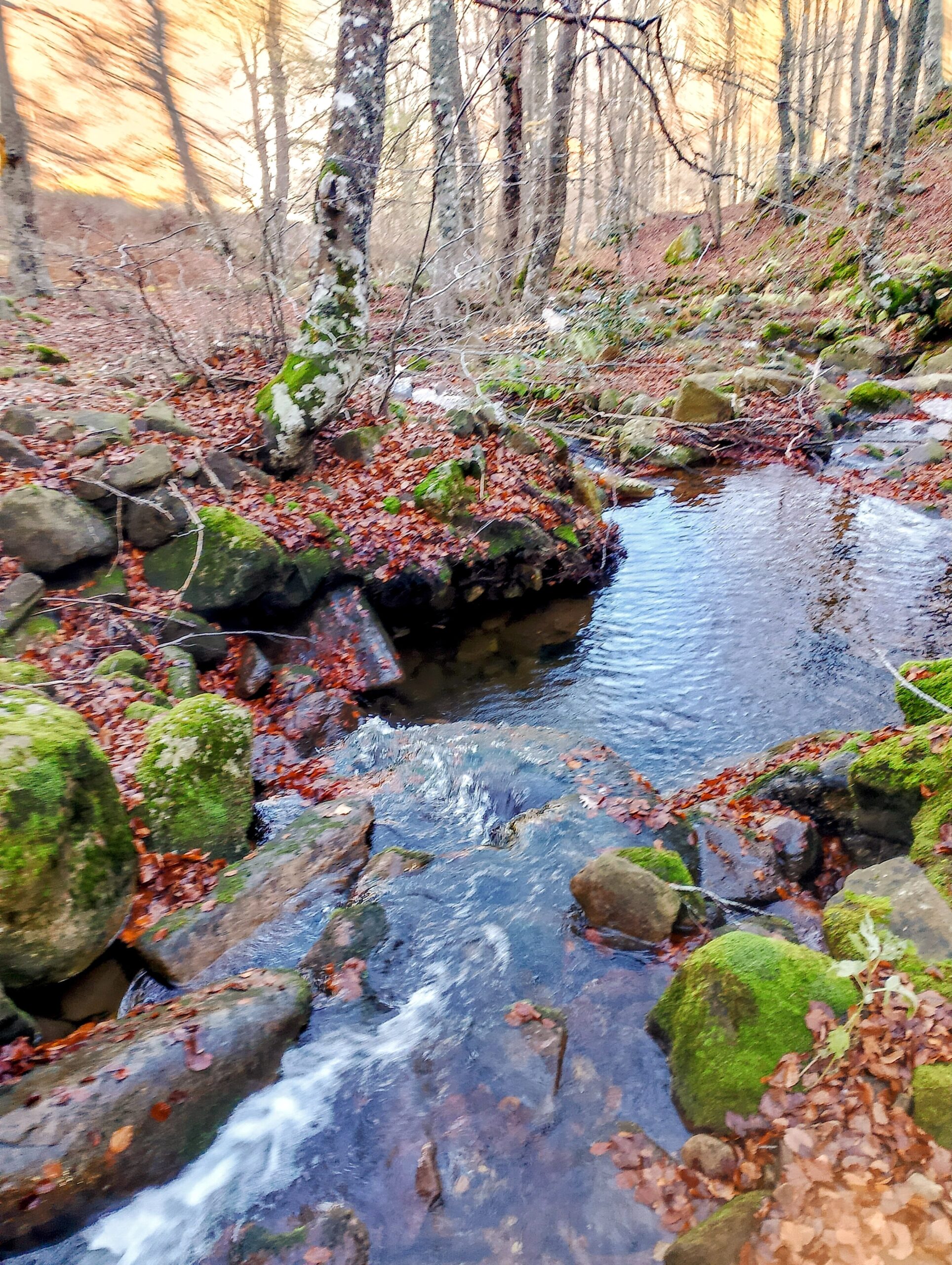 IMG_20241114_142559~2